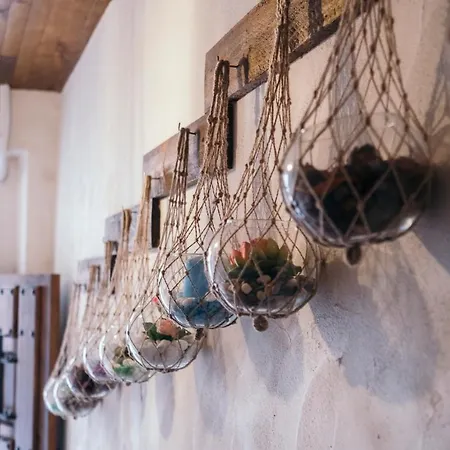 Buho House * バレンシア