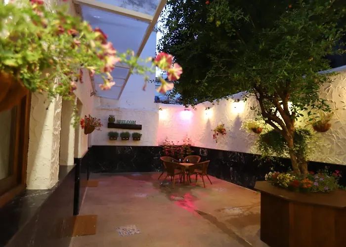 Buho House ולנסיה
